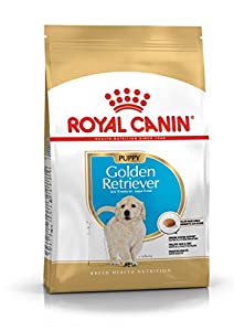 Royal Canin Puppy Golden Retriever 3KG