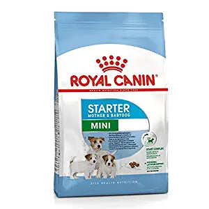 Royal Canine Starter Mini 1Kg