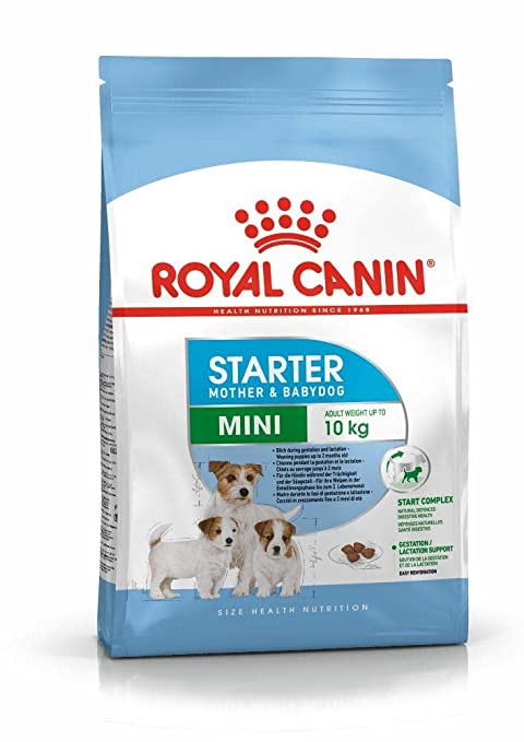 Royal Canine Mini Starter 3KG