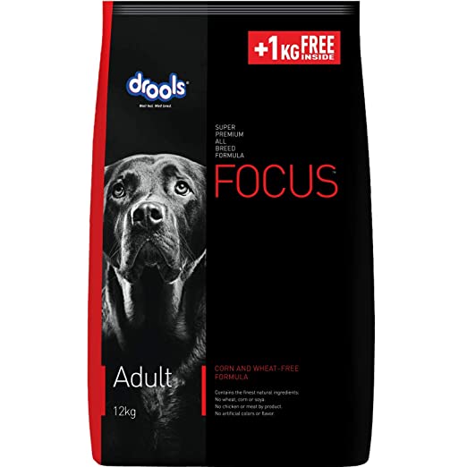 Focus Adult 12kg