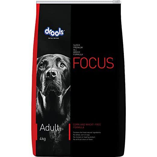 Focus Adult 4kg