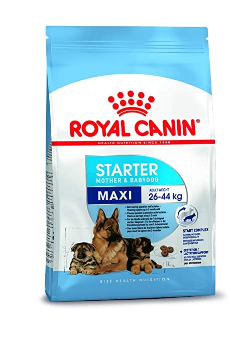 Royal Canin Maxi Starter 1Kg