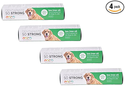 Tea Tree Oil Tooth Paste For Dogs & Cats