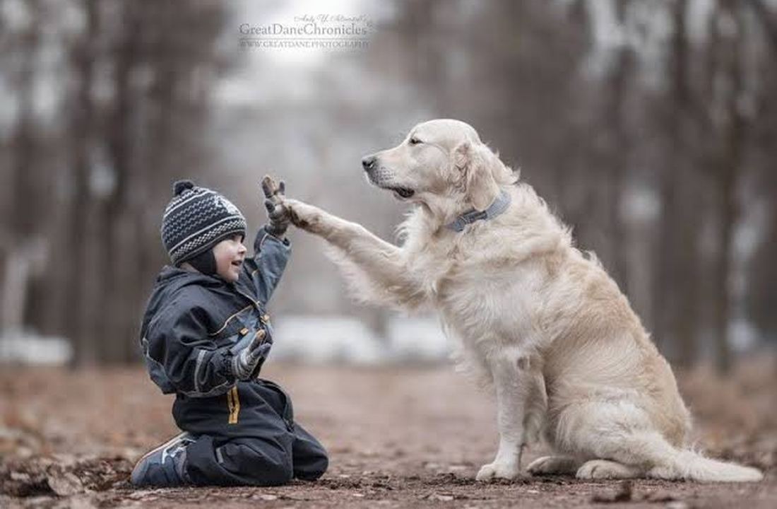 Dog training community bond LoyalTails