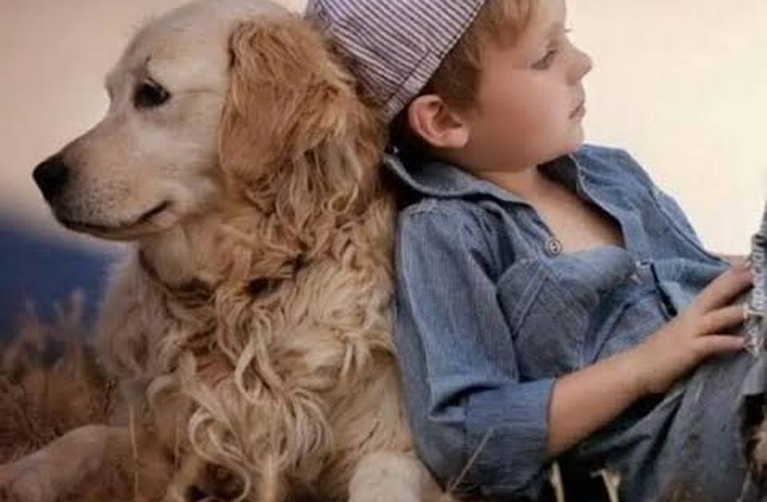 Boy and dog resting together LoyalTails community